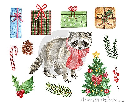 Watercolor Christmas set with cute raccoon in scarf, holiday fir tree, gifts, holly, pinecone, isolated. New Years hand drawn Cartoon Illustration