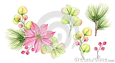 Watercolor Christmas set of elements. Transparent poinsettia pink flowers, holly berries, pine tree branches set Stock Photo