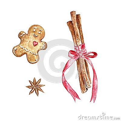 Watercolor Christmas set of hand drawn cinnamon sticks and gingerbread cookie Stock Photo