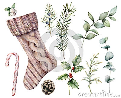 Watercolor Christmas set with sock. Hand painted holiday eucalyptus and pine branch, mistletoe and holly isolated on Cartoon Illustration