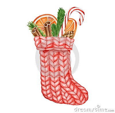 Watercolor Christmas sock decor illustration. Hand painted red knitted stocking with dried oranges, candy cane, fir Cartoon Illustration