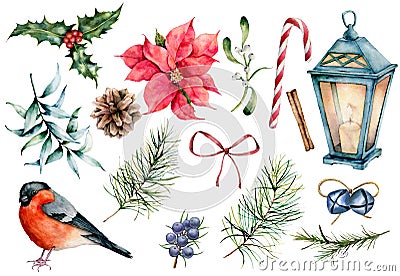 Watercolor Christmas symbols set. Hand painted winter plants, bullfinch bird, decor isolated on white background Cartoon Illustration