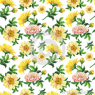 Watercolor chrysanthemums on a white background.Abstract seamless pattern of yellow flowers Cartoon Illustration