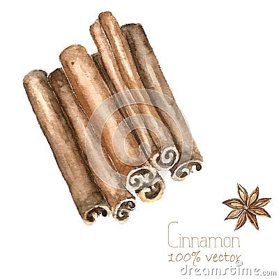 Watercolor cinnamon and anise. Vector Illustration