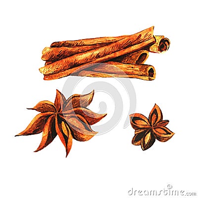 Watercolor cinnamon Stock Photo