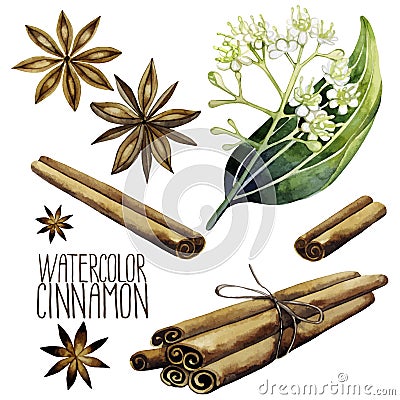 Watercolor cinnamon set Vector Illustration