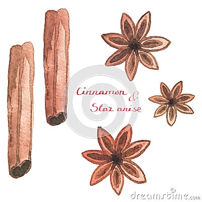 Watercolor cinnamon and star anise on the white Vector Illustration