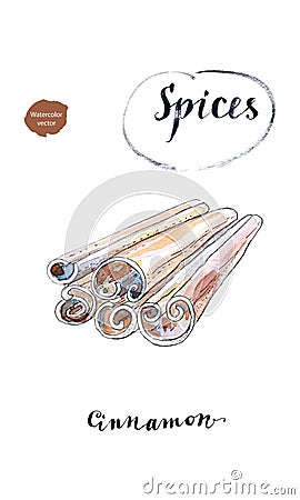 Watercolor cinnamon sticks. Product to prepare delicious and healthy food. Vector Illustration