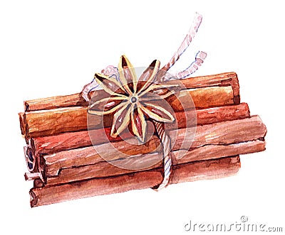 Watercolor cinnamon sticks spice illustration isolated Cartoon Illustration