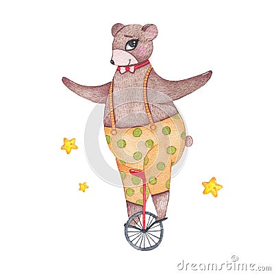Watercolor circus animal cute bear riding unicycle isolated on white background Cartoon Illustration