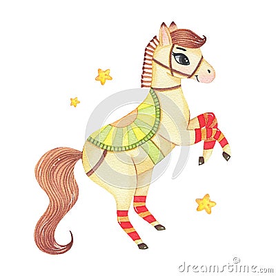 Watercolor circus animal cute horse in harness isolated on white background Cartoon Illustration