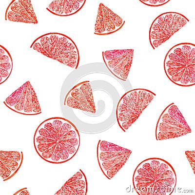 Watercolor citrus pattern grapefruit, floral seamless pattern, botanical natural illustration on white background. Hand drawn Cartoon Illustration