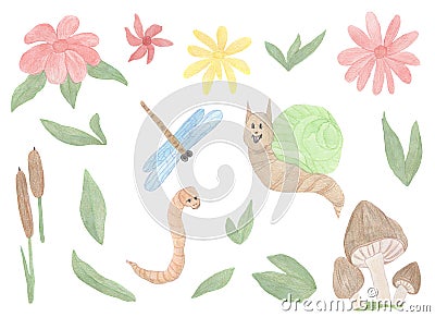 Watercolor clipart with leaves, greenery insects, dragonfly worm, snail, reedsl flowers and mooshrooms Cartoon Illustration