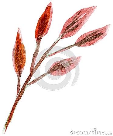 Watercolor clipart of a single branch of orange dry plant Stock Photo