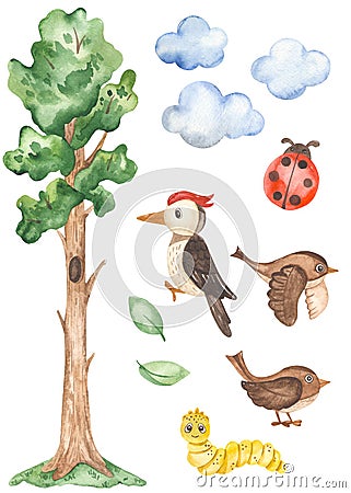 Watercolor clipart with a tall tree, woodpecker, sparrow, clouds, ladybug, caterpillar, leaves to create a children`s stadiometer Stock Photo