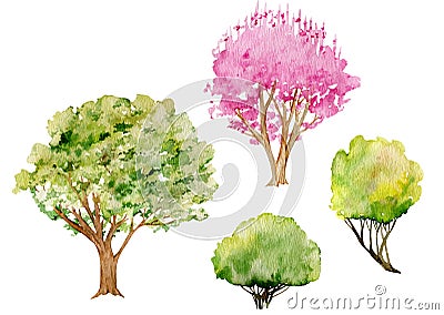 Watercolor clipart of trees and bushes. Cherry pink blossom tree in early spring, fresh green and yellow bushes. Stock Photo