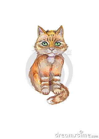 Watercolor close up portrait of cartoon red cat isolated on white background Stock Photo
