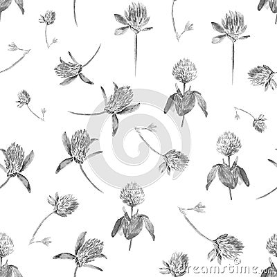 Watercolor clover isolated on white in black and white. Gentle seamless pattern with blooming pink clover. Cute Stock Photo