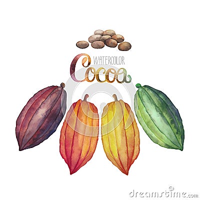 Watercolor cocoa fruit Stock Photo