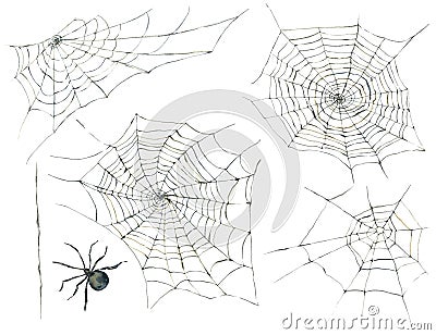 Halloween seamless pattern with black spider and web Cartoon Illustration