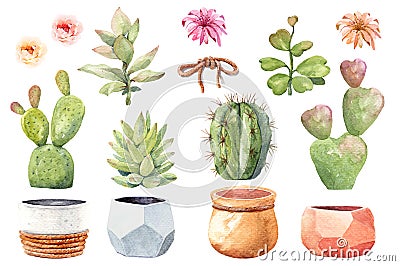 Watercolor collection cactus cacti and succulents in pots. Elements layer path. Stock Photo