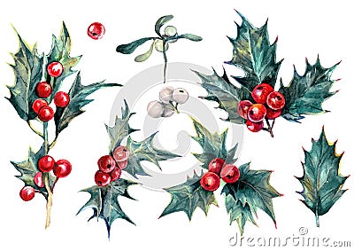 Watercolor Collection of Christmas Holly Plant Vector Illustration