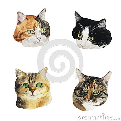 Watercolor collection of four cute cats. Adorable kitten Stock Photo