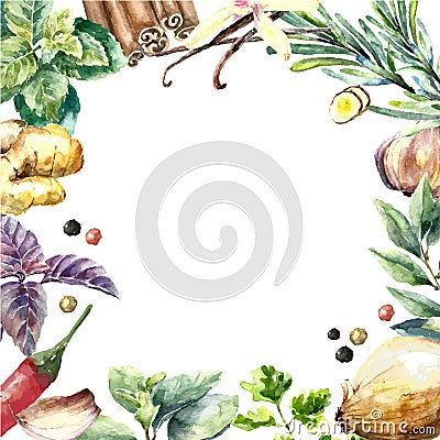 Watercolor collection of fresh herbs and spices . Vector Illustration