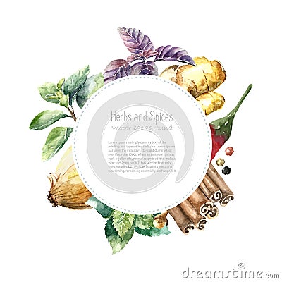 Watercolor collection of fresh herbs and spices . Vector Illustration