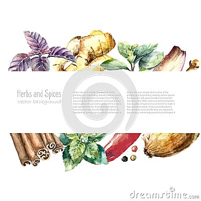 Watercolor collection of fresh herbs and spices isolated. Vector Illustration