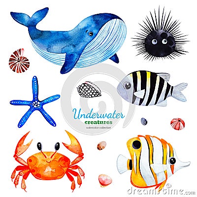 Watercolor collection with multicolored coral fishes.shells,crab,whale,starfish,urchin Stock Photo