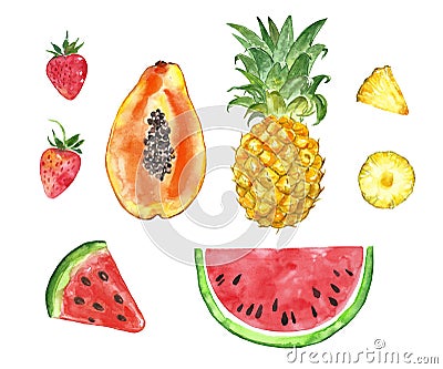 Watercolor collection of painted summer fruits- pineapple, papapya, strawberry, watermelon slice, isolated on white background Stock Photo