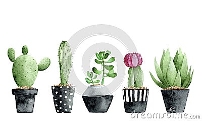 Watercolor collection with succulents and cactus on white background. Stock Photo