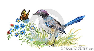 Watercolor colorful Bird and butterfly with grass and flowers. Vector Illustration