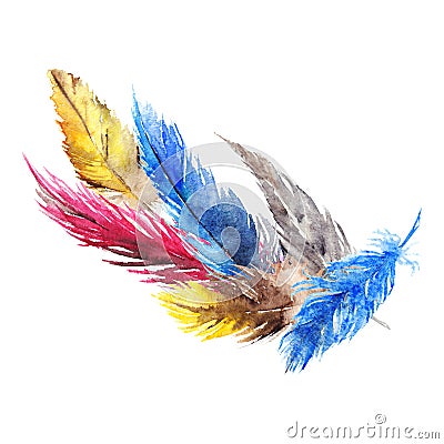 Watercolor colorful bird feather abstract composition isolated Stock Photo