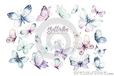 Watercolor colorful butterflies, isolated butterfly on white background. blue, yellow, pink and red butterfly spring Cartoon Illustration