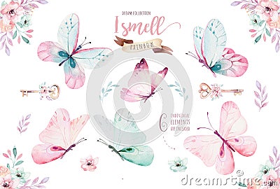 Watercolor colorful butterflies, isolated on white background. blue, yellow, pink and red butterfly illustration. Cartoon Illustration