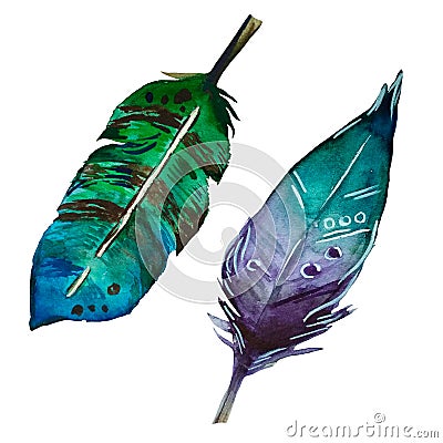 2 Watercolor colorful feathers in boho style. Stock Photo