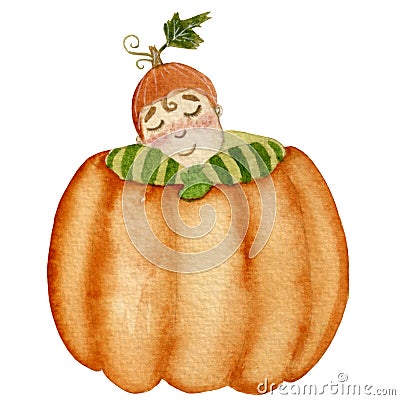 Watercolor illustration with sleeping baby in a pumpkin, isolated on a white background. For various autumn products. Cartoon Illustration