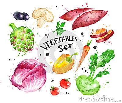 Watercolor colorful set of vegetables Stock Photo