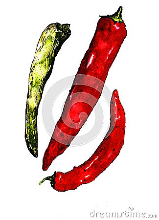 Watercolor colorful vegetables set red hot chili peppers, capsaicin closeup isolated on white background Cartoon Illustration