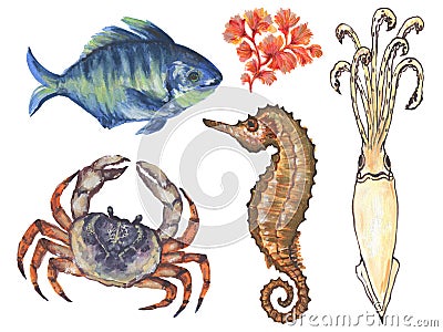 Watercolor composition with Aquatic Animal underwater fish, sea horse, shrimp, crab, squid, coral Hand painted animal silhouette i Cartoon Illustration