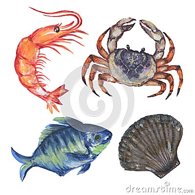 Watercolor composition with Aquatic Animal underwater fish, sea horse, shrimp, crab, squid, coral Hand painted animal silhouette i Cartoon Illustration