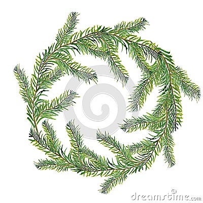 Watercolor composition of fir branches. Cartoon Illustration