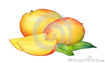 Watercolor composition of mango fruits Stock Photo