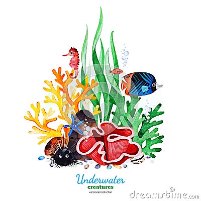 Watercolor composition with multicolored corals,seashells,seaweeds and tropical fish Stock Photo