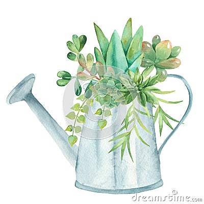 Watercolor composition with succulents, cacti and watering can. Stock Photo