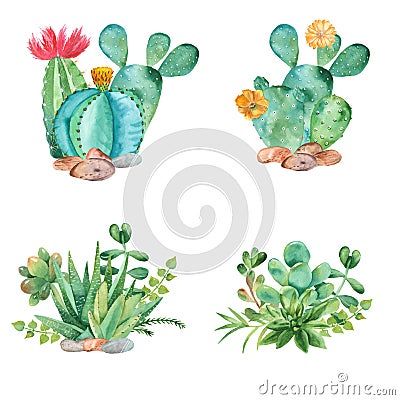 Watercolor composition with succulents, cacti and watering can. Stock Photo