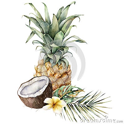 Watercolor composition of tropical fruits. Hand painted card with pineapple, coconut, plumeria and palm leaves isolated Cartoon Illustration