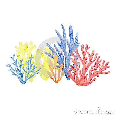 Watercolor coral composition Vector Illustration